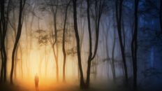take your first steps with god